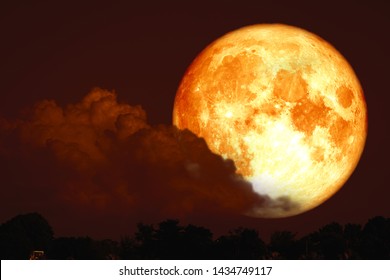 red sturgeon moon on the night red sky back silhouette tree, Elements of this image furnished by NASA