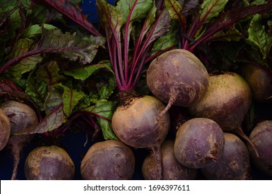 Red Sugar Beet Natural Healthy Food