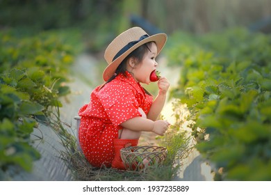 Red suit girl in strawberry farm. - Powered by Shutterstock