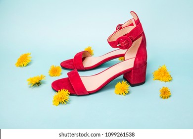 Red Summer Women Shoes. Blue Background With Dandelion.