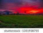 the red sunset