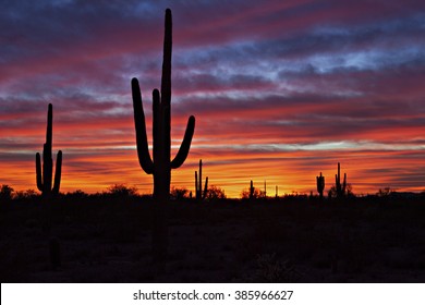 Red Sunset In Arizona,with Saguaro Silhouette.