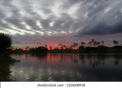 Red Sunset With Gray Skies, Palm Tree Silhoutte