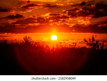 Red Sunset Of The Hot Sun On The Background Of The Silhouette Of A Tree And Dry Grass. Red Sky. Global Warming, Climate Change, Extreme Heat Waves. Hot Evening. Danger Of Fire.