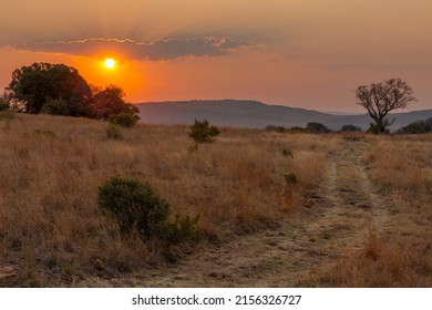 Red Sunset Over Dry Grass Land Magaliesberg South Africa