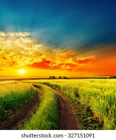 Red Sunset Over Green Field With Road