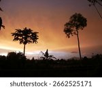 red sunset with two trees 