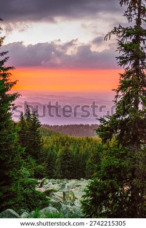 Red sunset. Vitosha mountain. Sofia, Bulgaria 