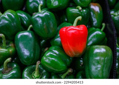 A red sweet bell pepper among green peppers background - Powered by Shutterstock