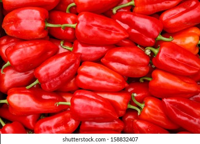 Red Sweet Pepper 