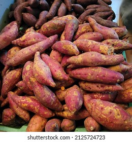 
Red Sweet Potato Or Sweetpotato   Is A Dicotyledonous Plant That Belongs To The Bindweed Or Morning Glory Family