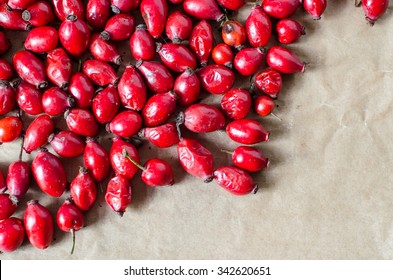 Red Sweetbrier Berries 