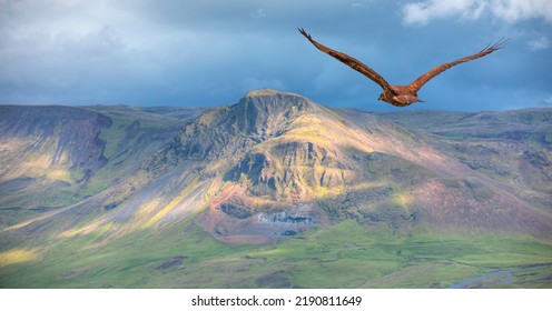 Red tailed hawk flies above mountains covered in grass - Iceland - Shutterstock ID 2190811649