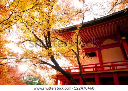 Red temple and Red maple trees in Kyoto (Japan)