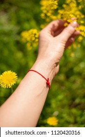 Red Thread On The Hand