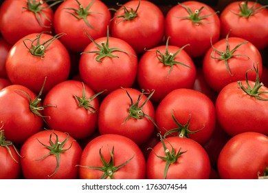 red tomatoes background. Group of tomatoes a lot of red tomatoes background