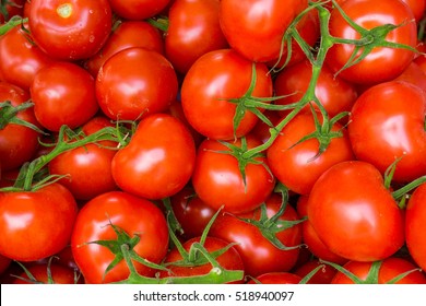 red tomatoes background. Group of tomatoes - Shutterstock ID 518940097