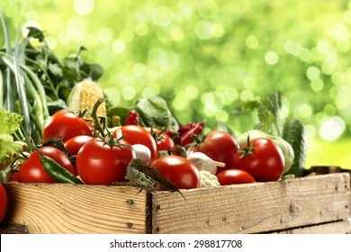 Red Tomatoes In Box 