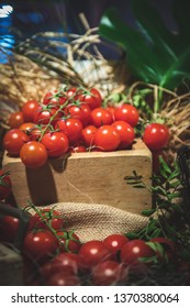 After Fresh Garden Tomato Images Stock Photos Vectors