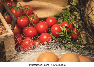 After Fresh Garden Tomato Images Stock Photos Vectors