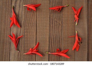 Red Topical Flower Petals In A Frame Shape. On A Wooden Background. 