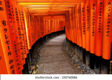 Red Tori Gate At Fushimi Inari Shrine In Kyoto, Japan