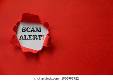 Red torn paper with a text of Scam Alert with copy space.