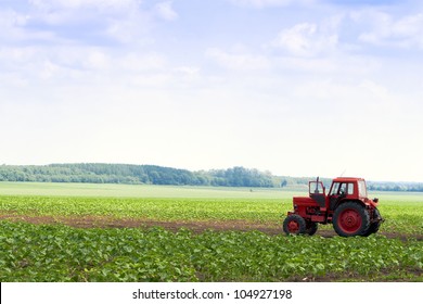 Red tractor in the field.