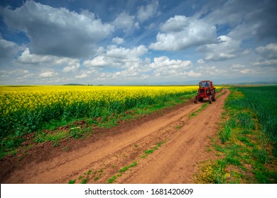 Red Tractor In A Field And Dramatic Clouds