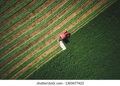 Red Tractor Mowing Green Field.