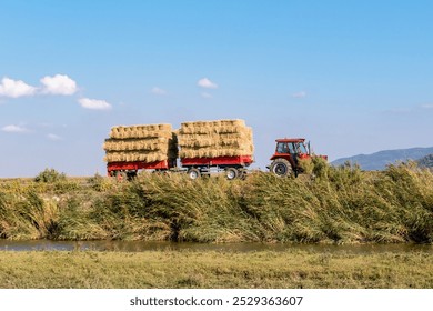 A red tractor pulls two trailers loaded with hay bales through a rural landscape,