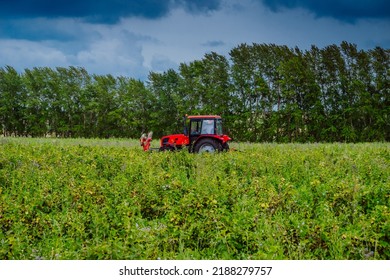 Red Tractor: Over 46,210 Royalty-Free Licensable Stock Photos