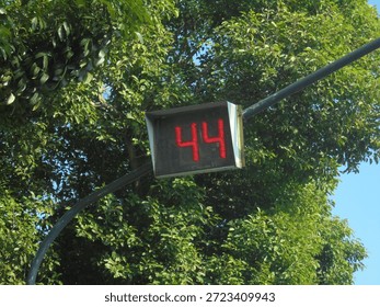 A red traffic light countdown timer showing the number forty-four, mounted on a pole with green trees in the background. The image represents urban transportation systems, road safety, traffic control, and daily city life in daylight conditions.