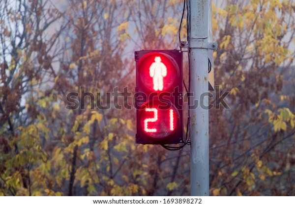 A red\
traffic light prohibits pedestrian\
traffic