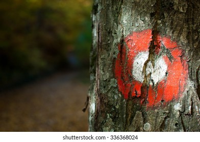 Red Trail Marker On The Tree.