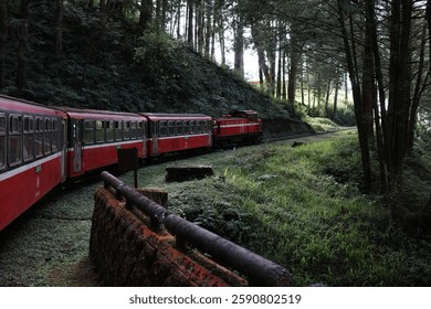 Red Train Passing Through Forest – Scenic Railway Journey