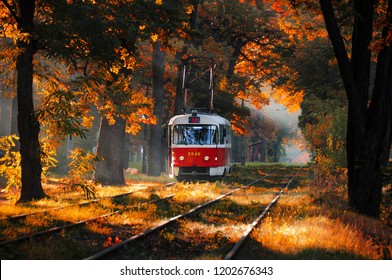 Red tram goes along the route through the autumn forest in early morning. Fall scene. Beautiful autumn landscape with tram. Foggy forest in sunlight rays. Nature background. - Powered by Shutterstock