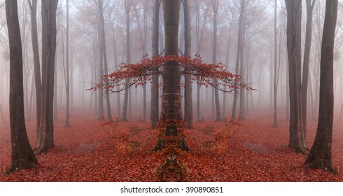 Enchanted Forest Wallpaper Stock Photos Images Photography Shutterstock