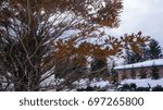 Red Trees in Winter