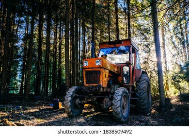 Red truck vehicle used for illegal logging hidden in a forest in morning lights. 