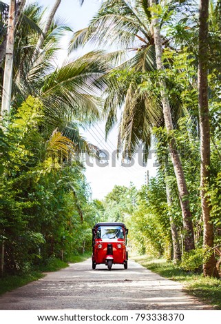Red tuk-tuk under the palm trees on the country road
