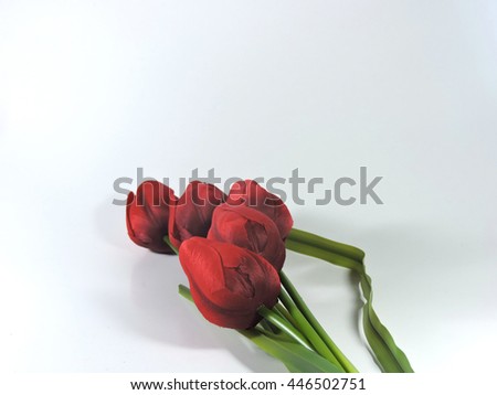 Similar – tulips Tulip Red