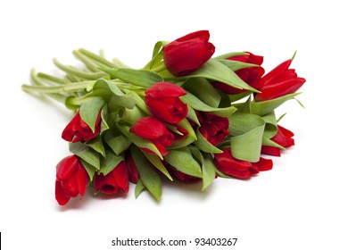 Red Tulips Over White