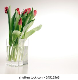 Red Tulips In Vase On Mirror