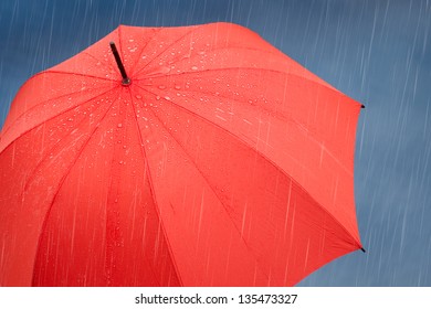 Red Umbrella In The Rain