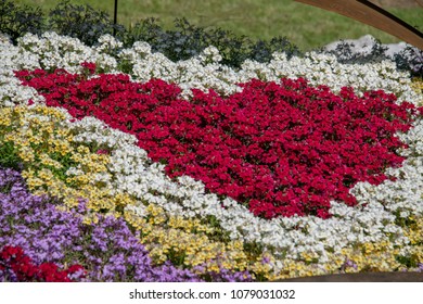 Red Valentine Hearth Shaped Flower Composition 