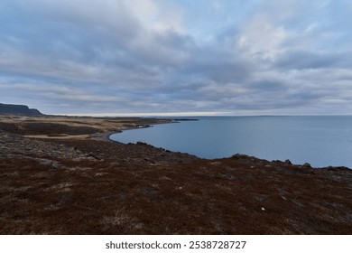 Red vegetation covering the rocky shore with a dramatic sky reflecting on the vast ocean in iceland - Powered by Shutterstock