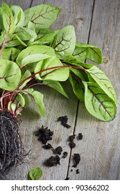 Red Vein Sorrel On Wooden Table.