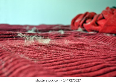 Red Velvet Bed Sheets And Clothe Cover With Pet Hair Issue. Cat's And Dog Fur. Annual Shedding Season. The Problem Or Issue Of Pet's Hair On Clothes And Allergies. Selective Focus.