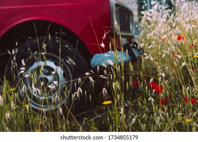 Red Vintage Car In A Flowery Field